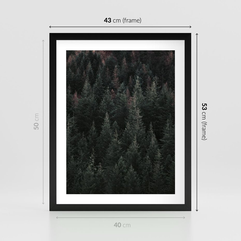Plakat w ramie 40x50 - Wysoko nad Iglastym Lasem - las, perspektywa - rama czarna