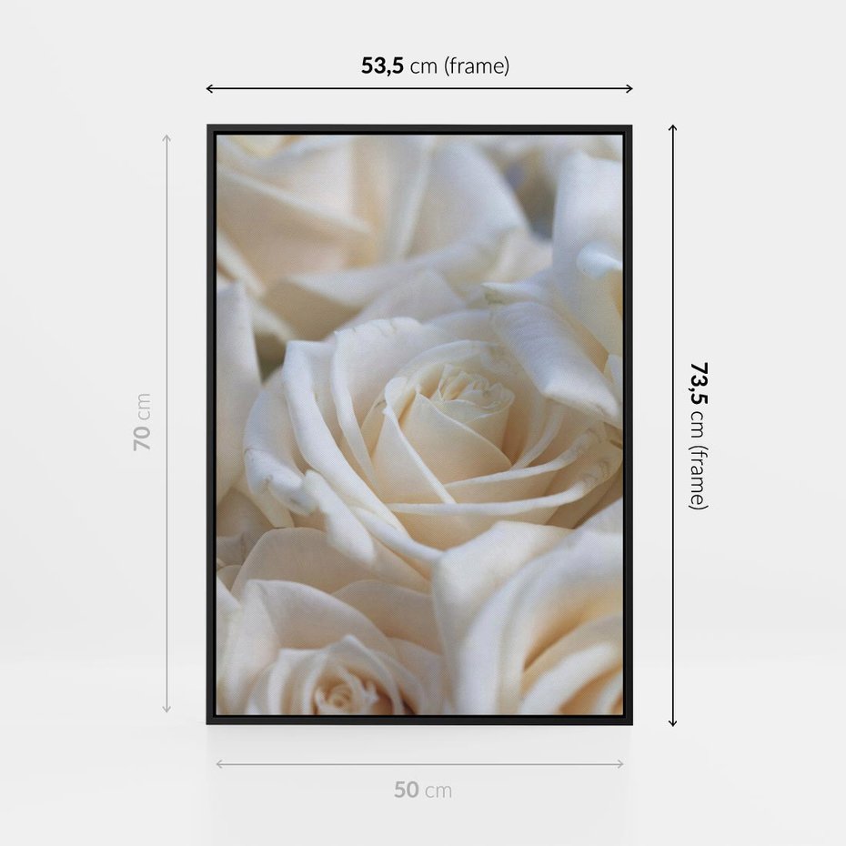 Obraz w ramie 50x70 - Białe róże piękności - białe, róże - rama czarna