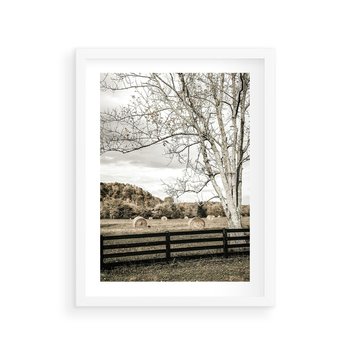 Plakat w ramie 50x70 - Drzewa i Snopki Siana - farma, drzewa - rama biała