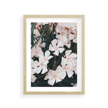 Plakat w ramie 50x70 - Egzotyczna Uroda - białe kwiaty, tropikalne kwiaty - rama drewno