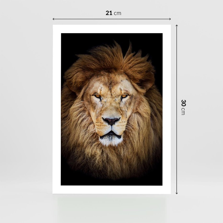 Plakat bez ramy 21x30 - Król zwierząt w majestatycznym stylu - lew, król