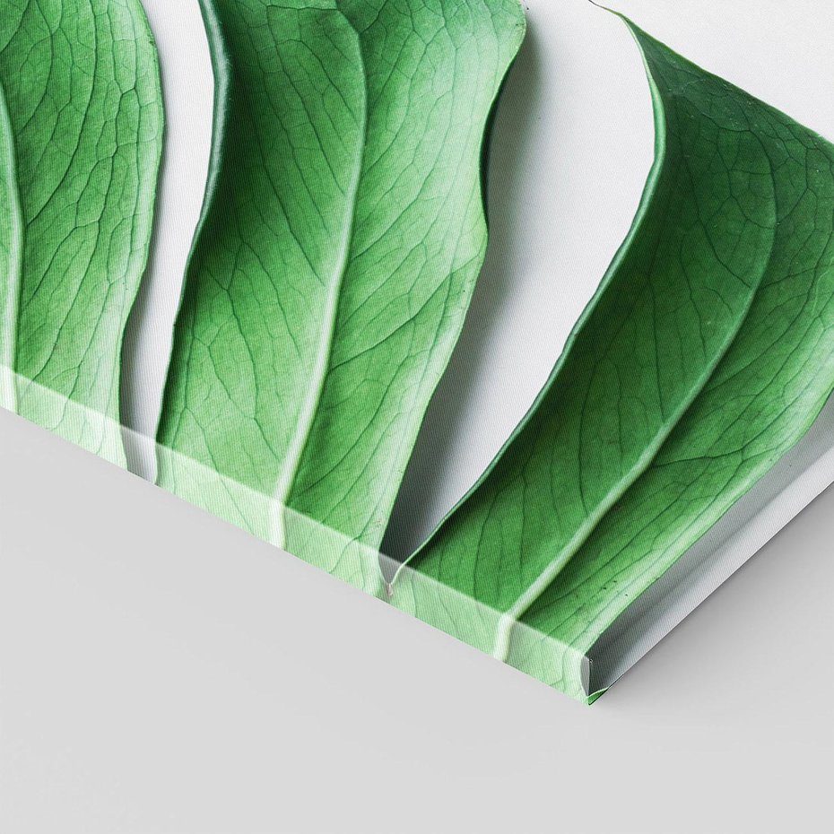 Obraz na płótnie 80x120 - Monstera - Liście Kwiaty - monstera, liście