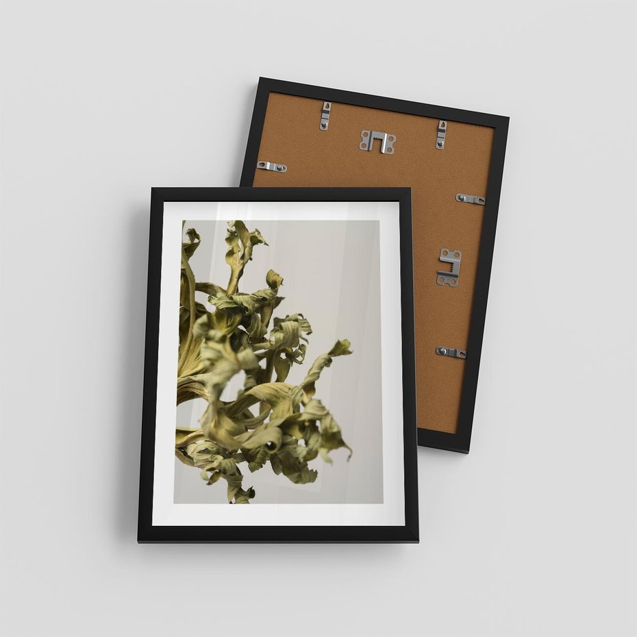 Plakat w ramie 30x40 - Odejście pory deszczowej - suche, trawy - rama czarna