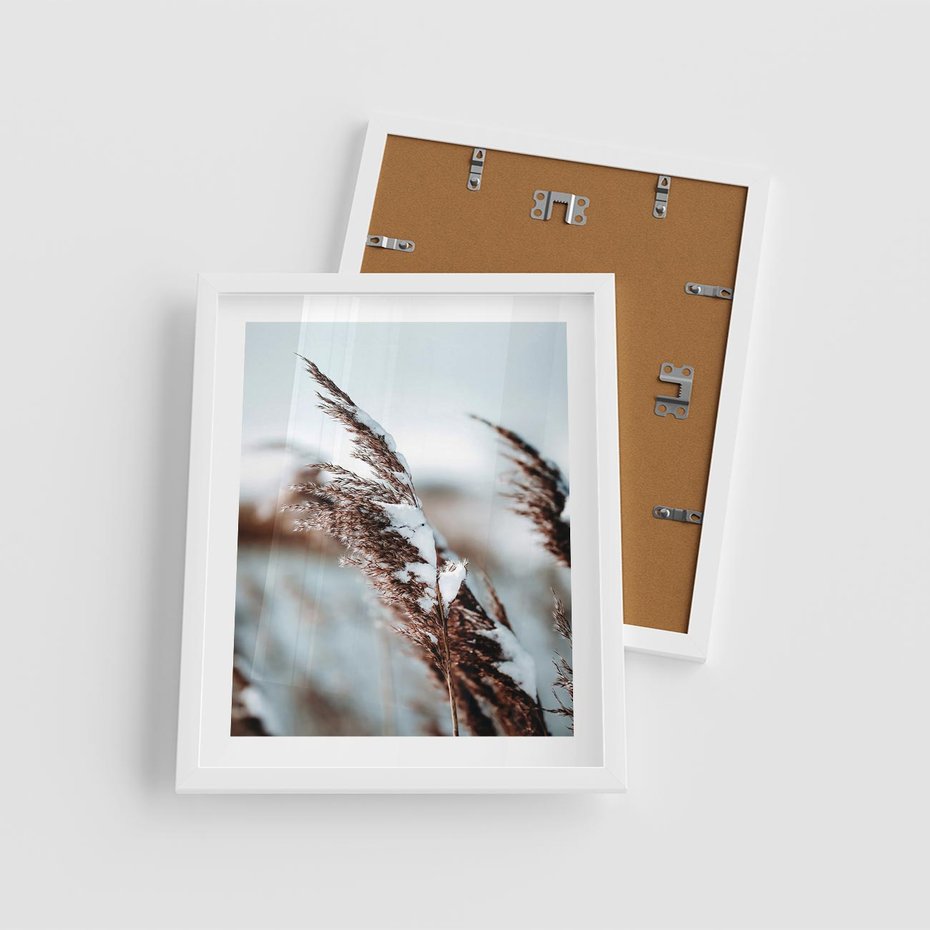 Plakat w ramie 40x50 - Zima na Suchych Trawach - suche trawy, śnieg wysokich na trawach - rama biała