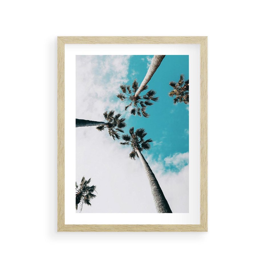 Plakat w ramie 30x40 - Palmy w Gorącym Niebie - palmy, ujęcie z dołu - rama drewno