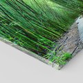 Obraz na płótnie 80x80 - Spacer wśród lasu - ścieżka, las