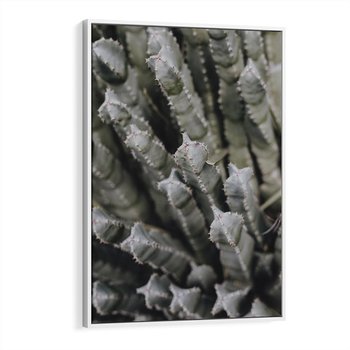 Obraz w ramie 80x120 - Boho kaktusy na pustyni - kaktusy, pustynia - rama biała