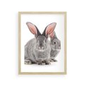 Plakat w ramie 30x40 - Uroczy królik wśród natury - królik, zając - rama drewno