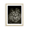Plakat w ramie 40x50 - Moc lewego spojrzenia - lew, czarno - rama drewno