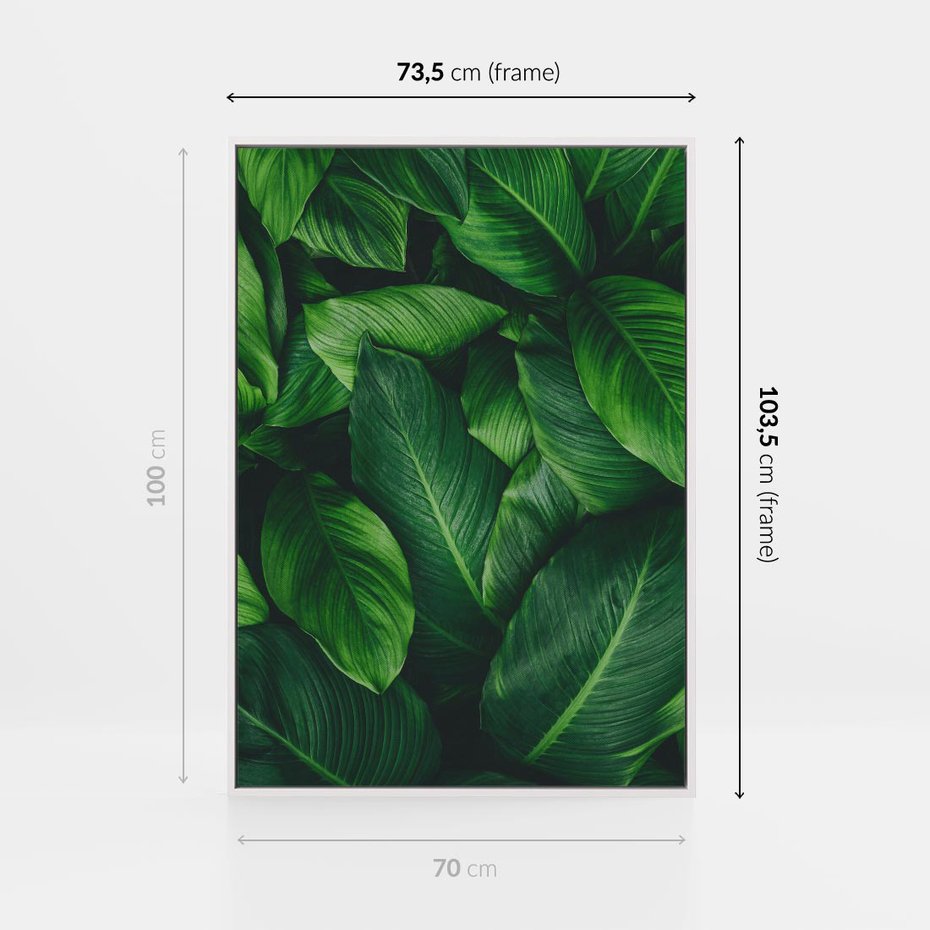 Obraz w ramie 70x100 - Palma Liście Kwiat - palma, liście - rama biała