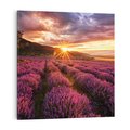 Obraz na płótnie 40x40 - Lawenda: Pachnące pole kwiatów - kwiaty, lawenda