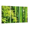 Obraz na płótnie 120x80 - Spokój bambusowego lasu SPA - bambus, drzewa