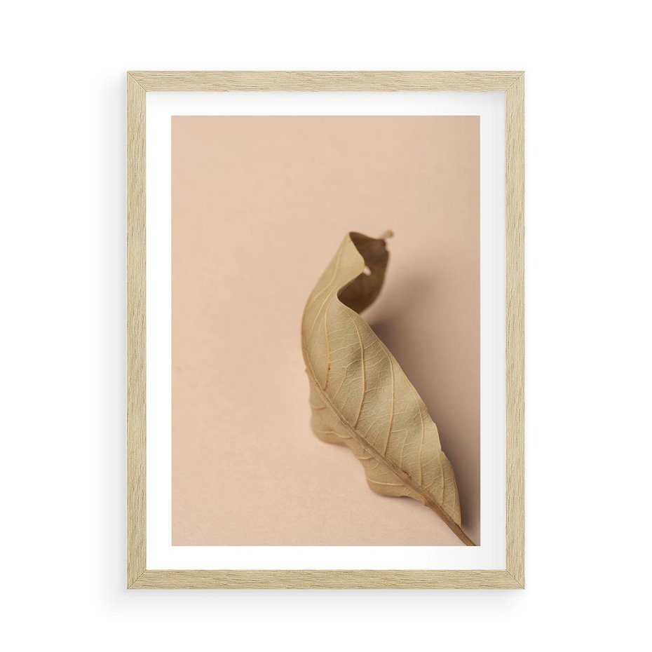 Plakat w ramie 50x70 - Boho suszone liście - suszony, liść - rama drewno