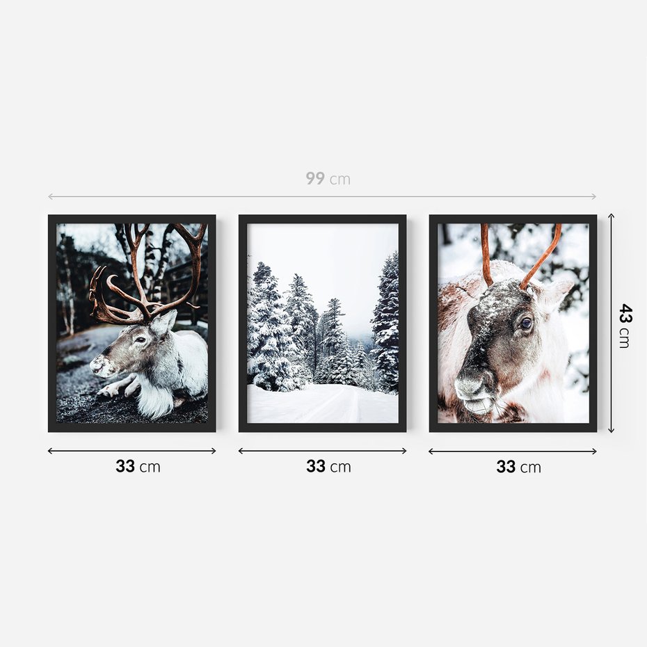 Zestaw obrazy w ramie 30x40 galeria - Renifer, zima, las, pejzaż, natura - rama czarna