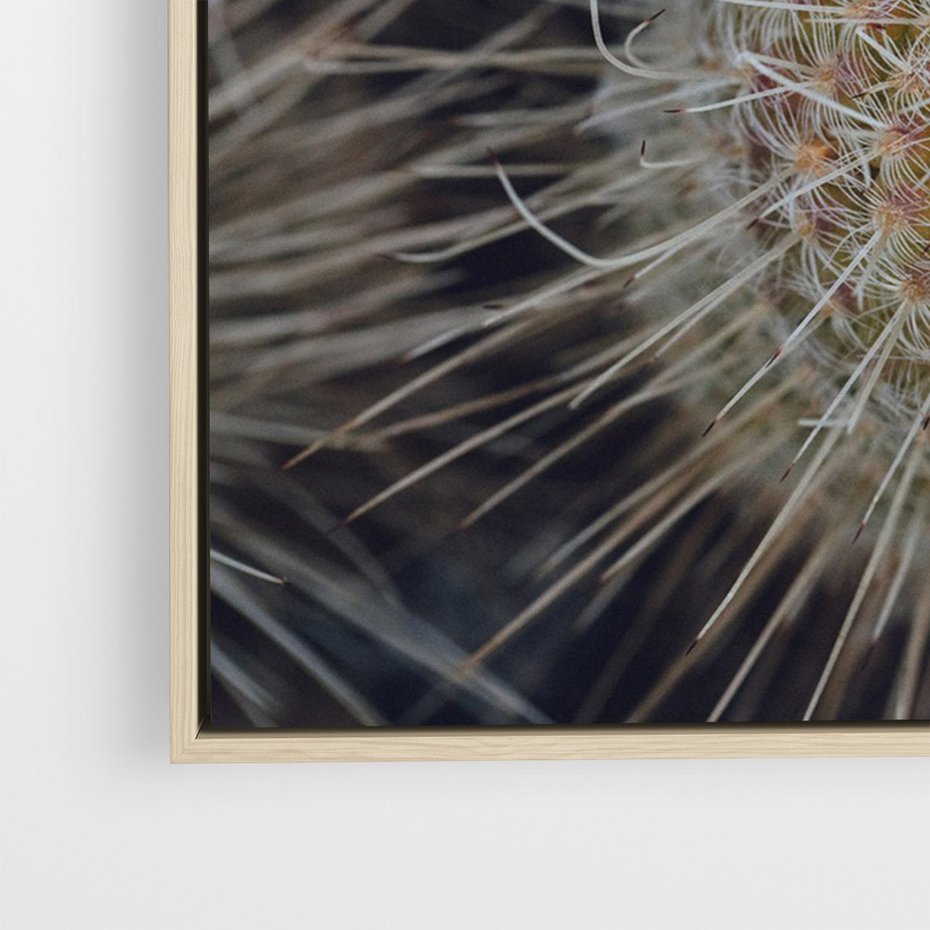 Obraz w ramie 80x120 - Ulotna Piękność Natury - makro, dmuchawce - rama drewno