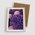 Plakat w ramie 50x70 - Fioletowa hortensja - kwiaty, hortensja - rama drewno