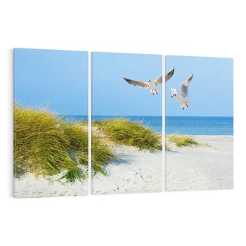 Obraz na płótnie 120x80 - Mewy nad morską plażą - mewy, plaża