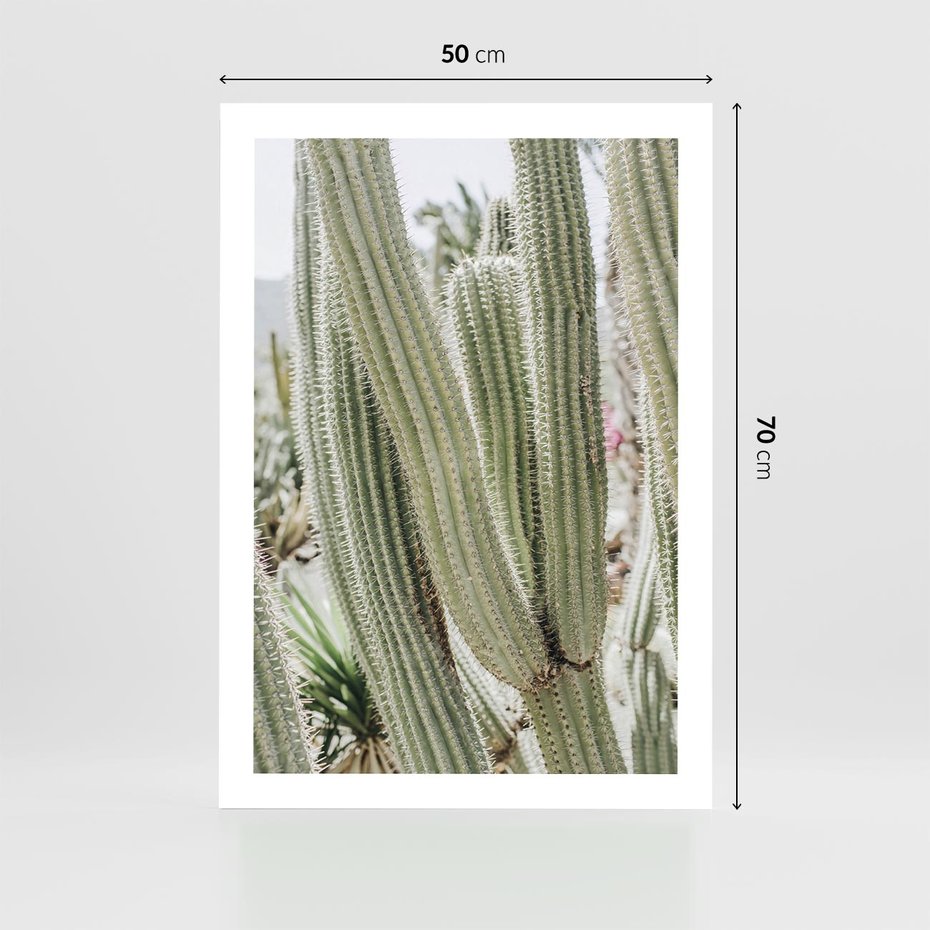 Plakat bez ramy 50x70 - Duże Kaktusy w Pejzażu - kaktus, duże kaktusy na pustyni