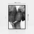 Obraz w ramie 70x100 - Spotkanie Mądrości - fotografia czarno biała, dwa słonie - rama czarna