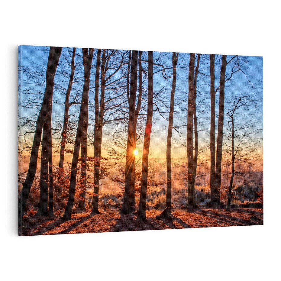 Obraz na płótnie 120x80 - Piękno lasu - las, drzewa