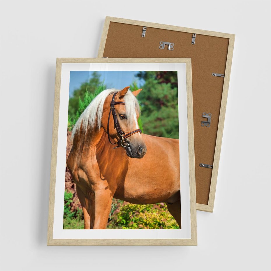 Plakat w ramie 50x70 - Elegancki wierzchowiec - koń, portret - rama drewno