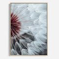 Obraz w ramie 50x70 - Makro świat dmuchawca - dmuchawiec, makro - rama drewno