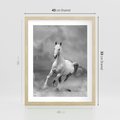 Plakat w ramie 40x50 - Elegancja w Czarno-Białym - koń, biało - rama drewno