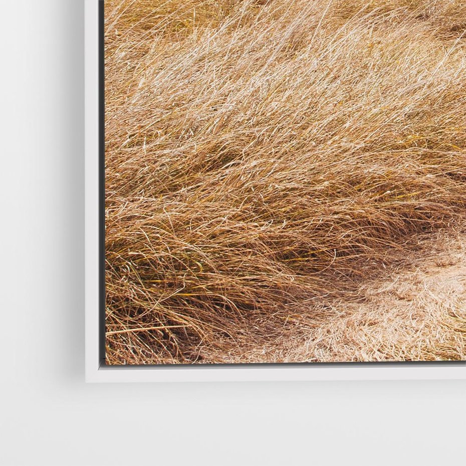 Obraz w ramie 80x80 - Tajemnicza Ścieżka - latarnia morska w oddali, suche trawy - rama biała