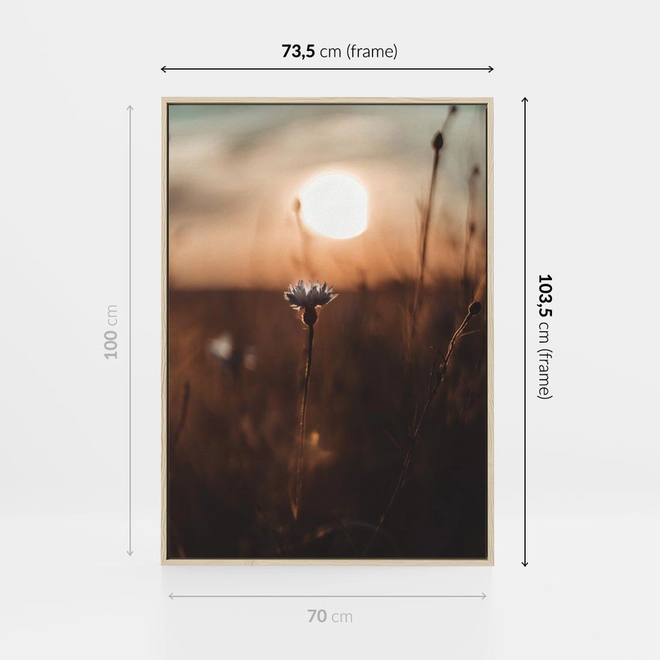 Obraz w ramie 70x100 - Spokój łąki pod zachodem słońca - zachód, słońca - rama drewno