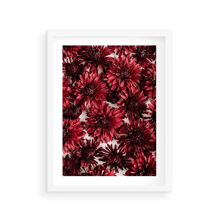 Plakat w ramie 30x40 - Energia Kwiatów - czerwone kwiaty, kompozycja - rama biała