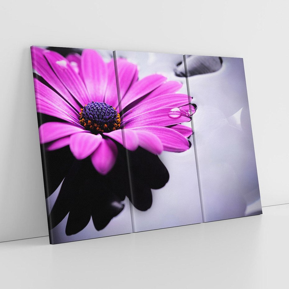 Obraz na płótnie 120x80 - kwiatowa harmonia - kwiat, SPA