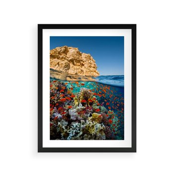 Plakat w ramie 30x40 - Rafa koralowa w oceanie - rafa, koralowa - rama czarna