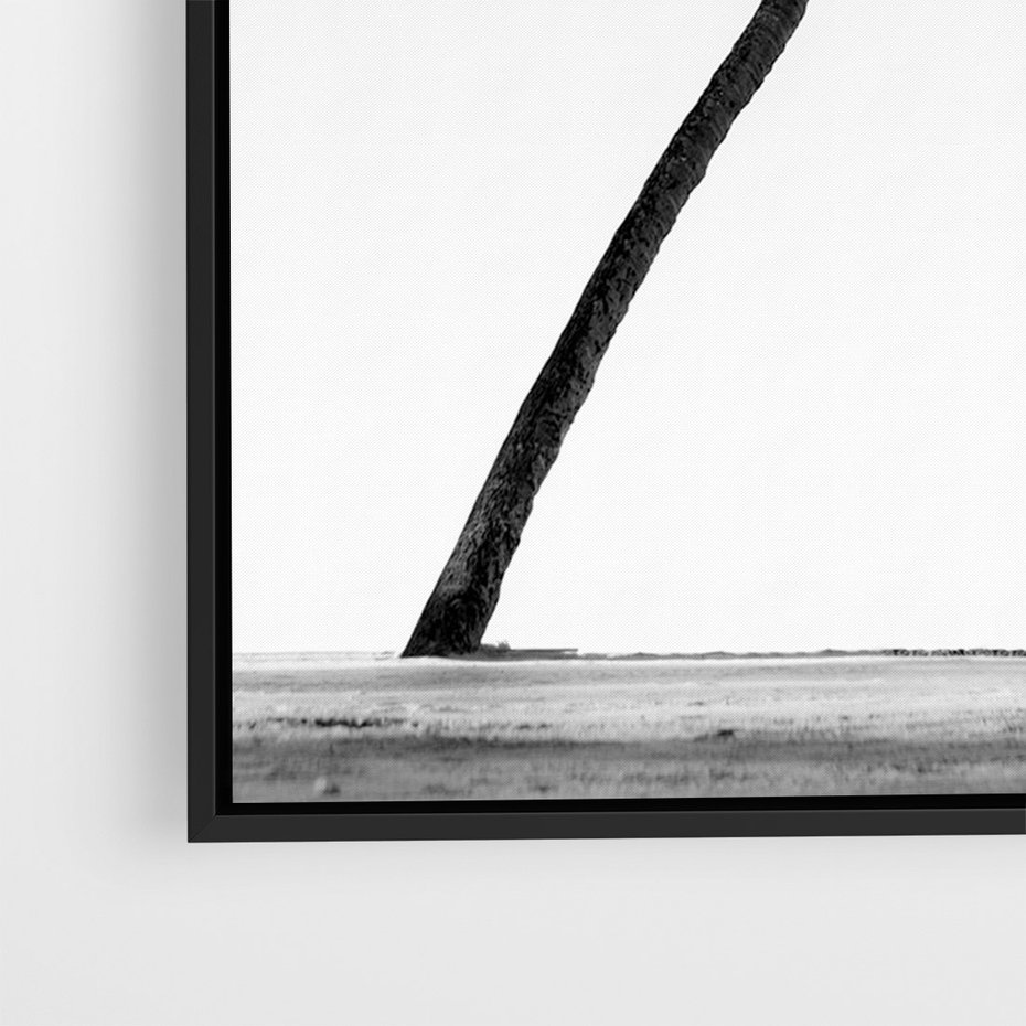 Obraz w ramie 50x70 - Samotne Palmy - czarno biała fotografia, dwie samotne palmy - rama czarna