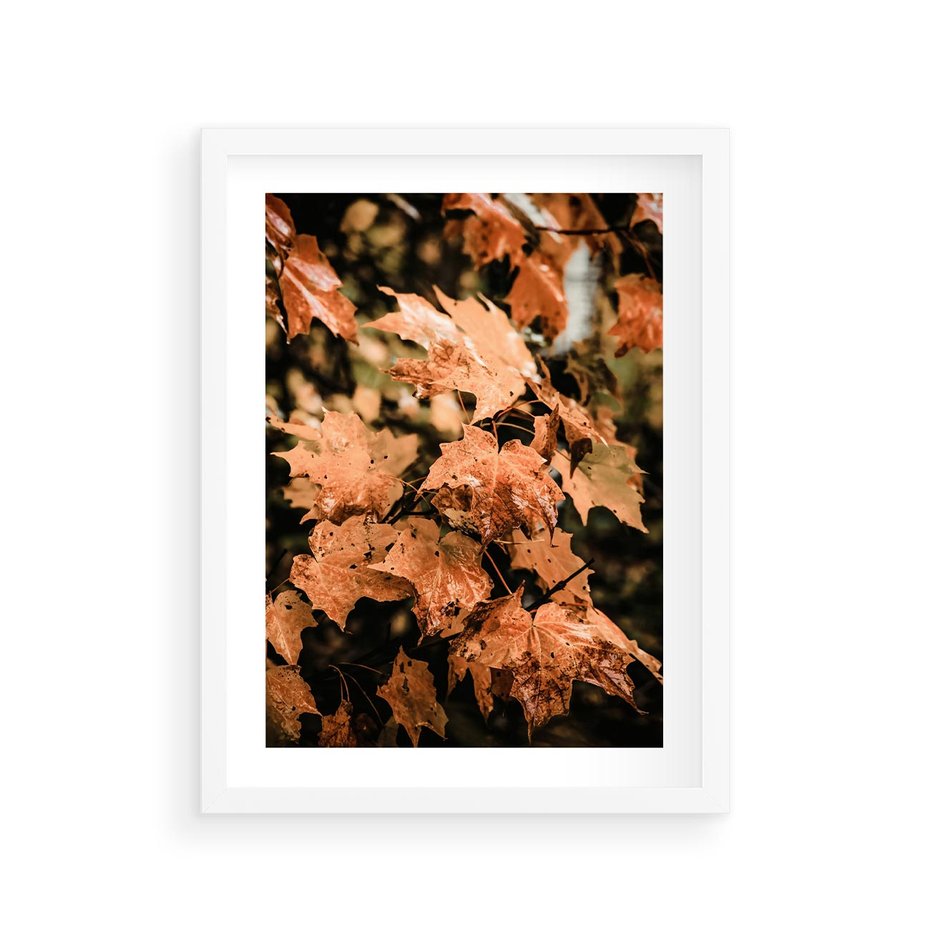 Plakat w ramie 30x40 - Ciepło Jesieni - jesienne pomarańczowe liśćie, jesień - rama biała