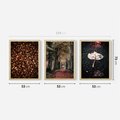 Zestaw obrazy w ramie 50x70 galeria - Jesień, ścieżka, klimatyczna - rama drewno