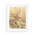 Plakat w ramie 40x50 - Boho Wizja - suszone, trawy - rama biała
