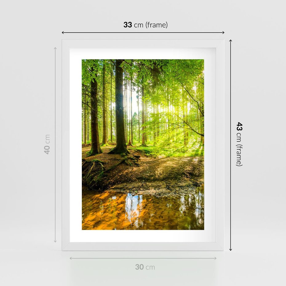 Plakat w ramie 30x40 - Las nad Wodą - las, woda - rama biała
