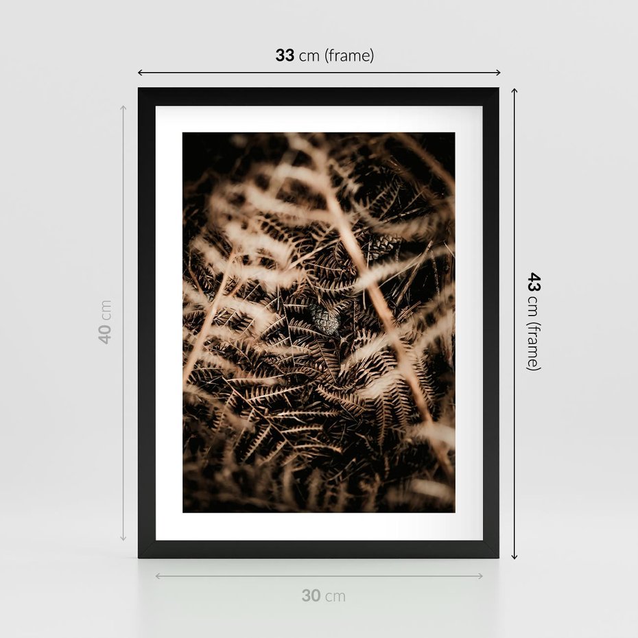Plakat w ramie 30x40 - Liście i Paprocie - suche liście, paprocie - rama czarna