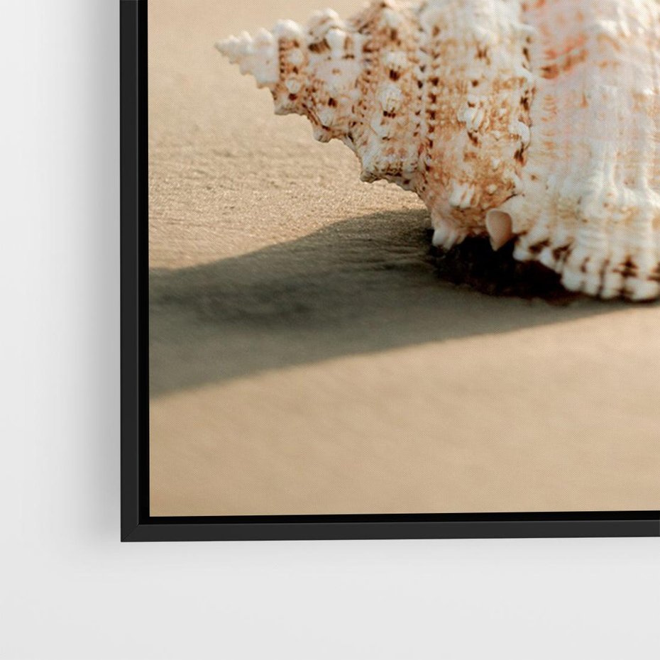Obraz w ramie 70x50 - Urok plażowej muszelki - fotografia, muszla na plaży - rama czarna