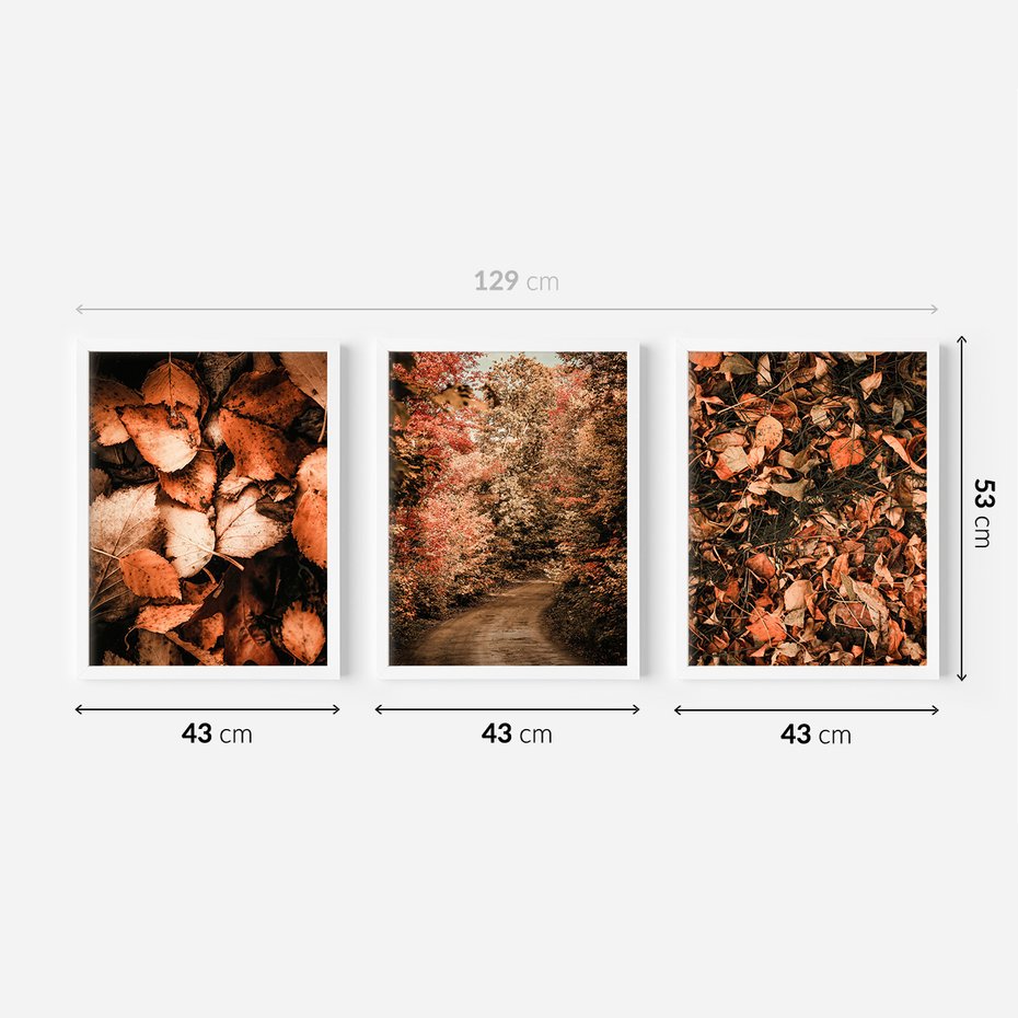 Zestaw obrazy w ramie 40x50 galeria - Liście, las, ścieżka - rama biała