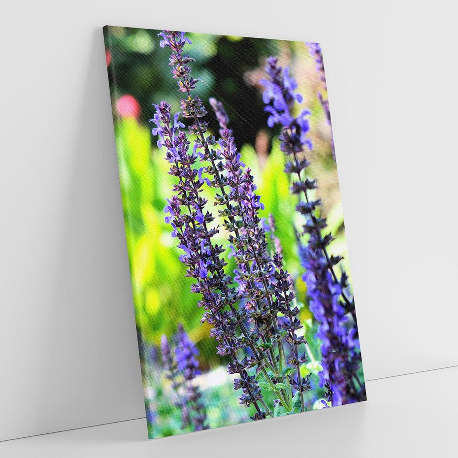 Obraz na płótnie 70x100 - Ogród Lawendowy - lawenda, kwiat