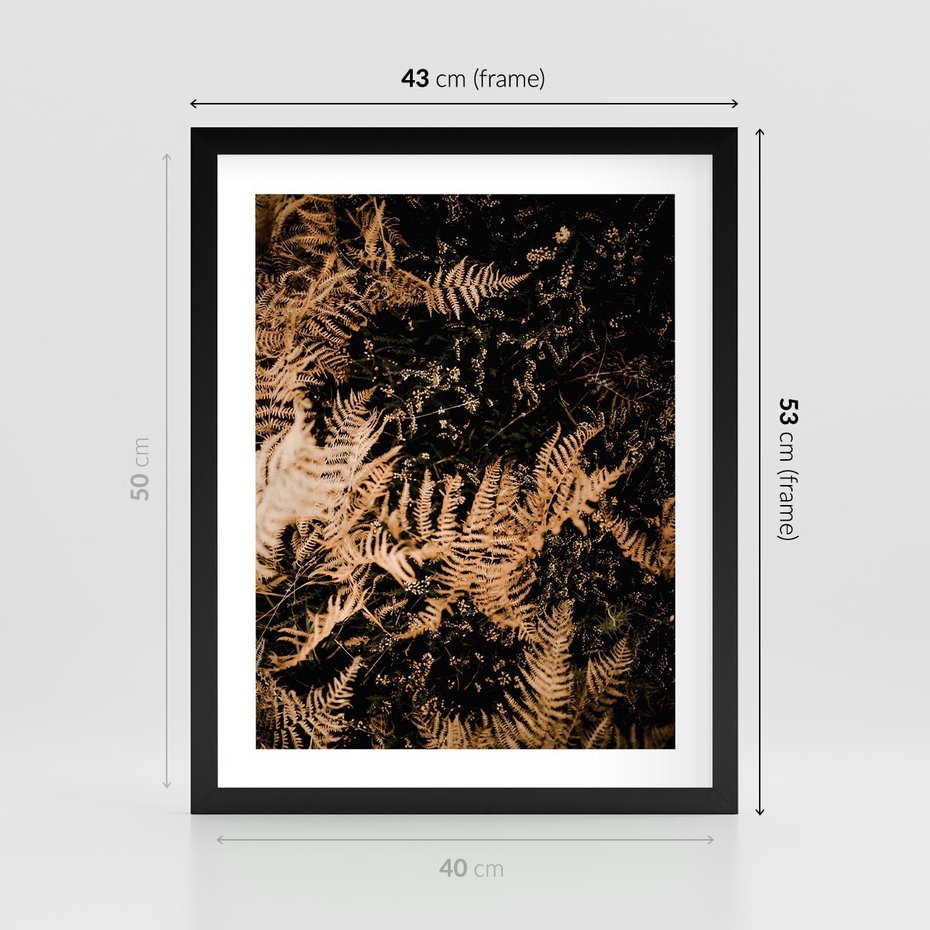 Plakat w ramie 40x50 - Jesienne Paprocie: Kolorowa Paleta Natury - paprocie, jesień - rama czarna