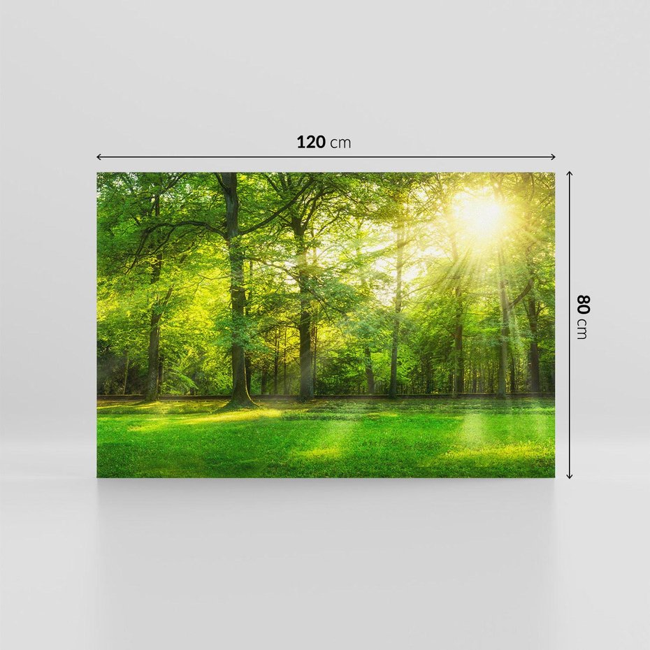 Obraz na płótnie 120x80 - Moc lasu - las, drzewa