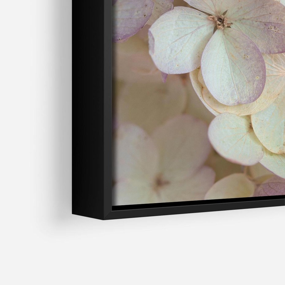 Obraz w ramie 50x50 - Kwiatowy taniec - kwiaty, hortensje - rama czarna
