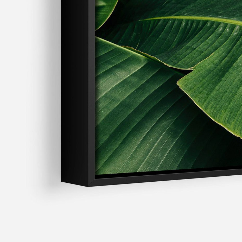 Obraz w ramie 50x70 - Zaklęta roślinna ekspresja - liście bananowca, gęsto ułożone - rama czarna