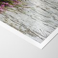 Plakat bez ramy 30x40 - Fioletowe Wrzosy - wrzosy, fiolet