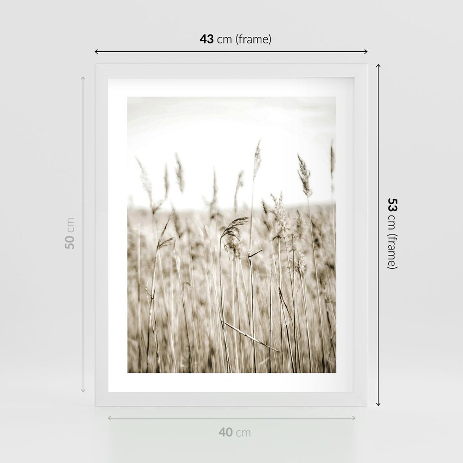 Plakat w ramie 40x50 - Nostalgiczny Pejzaż - suche trawy, pole - rama biała