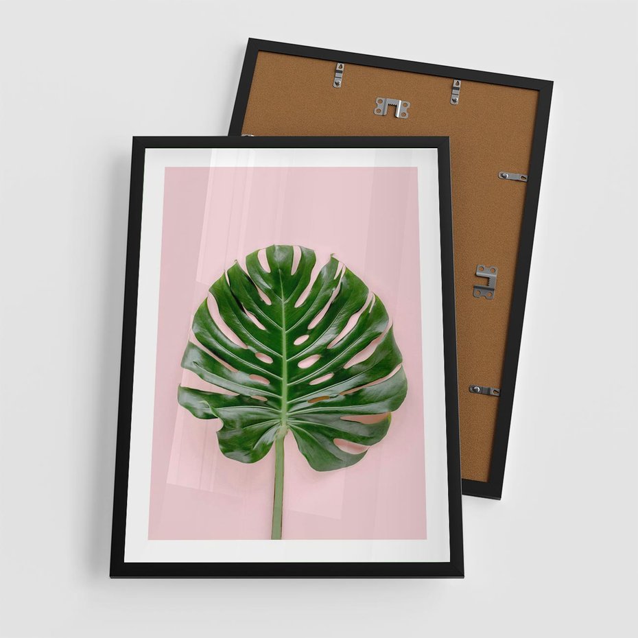 Plakat w ramie 50x70 - Monstera w Różowym Świetle - liść monstery, różowe tło - rama czarna