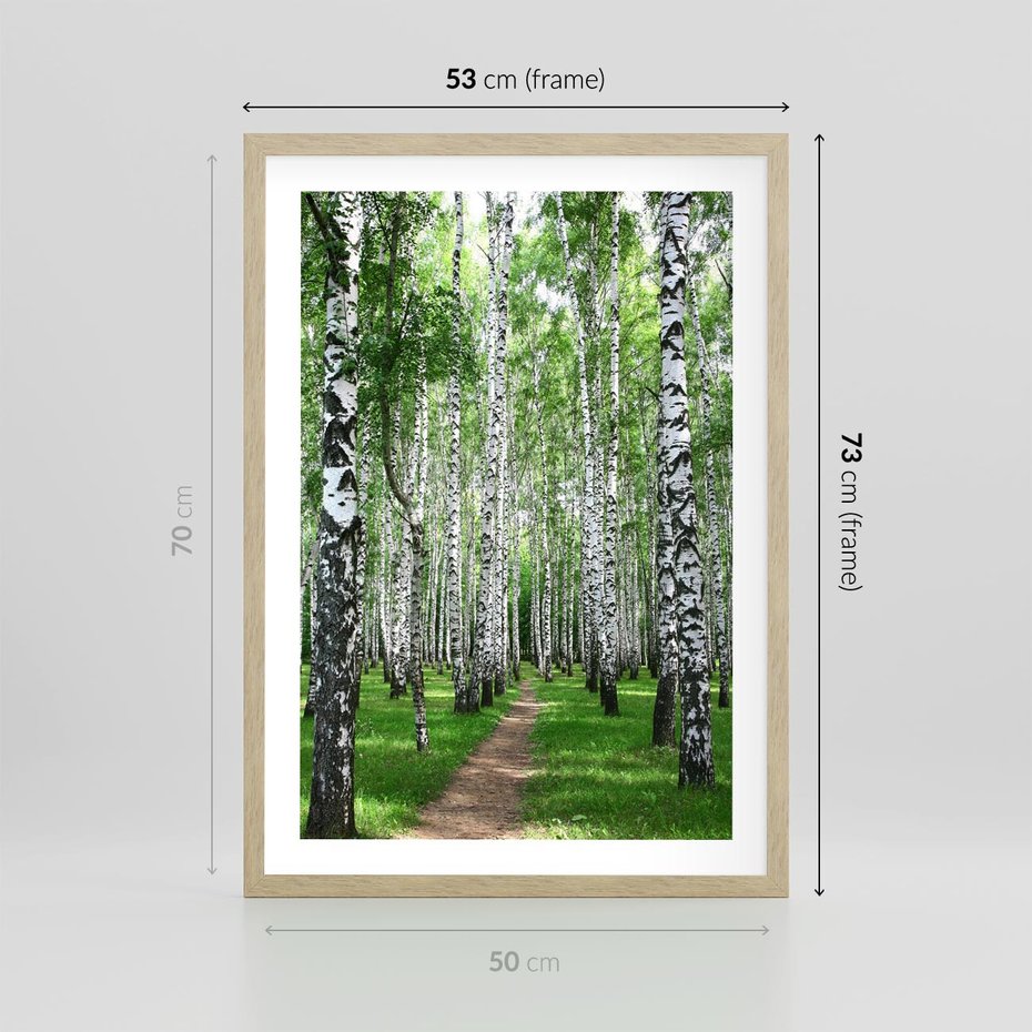 Plakat w ramie 50x70 - Magia lasu pełnego brzóz - las, brzozy - rama drewno