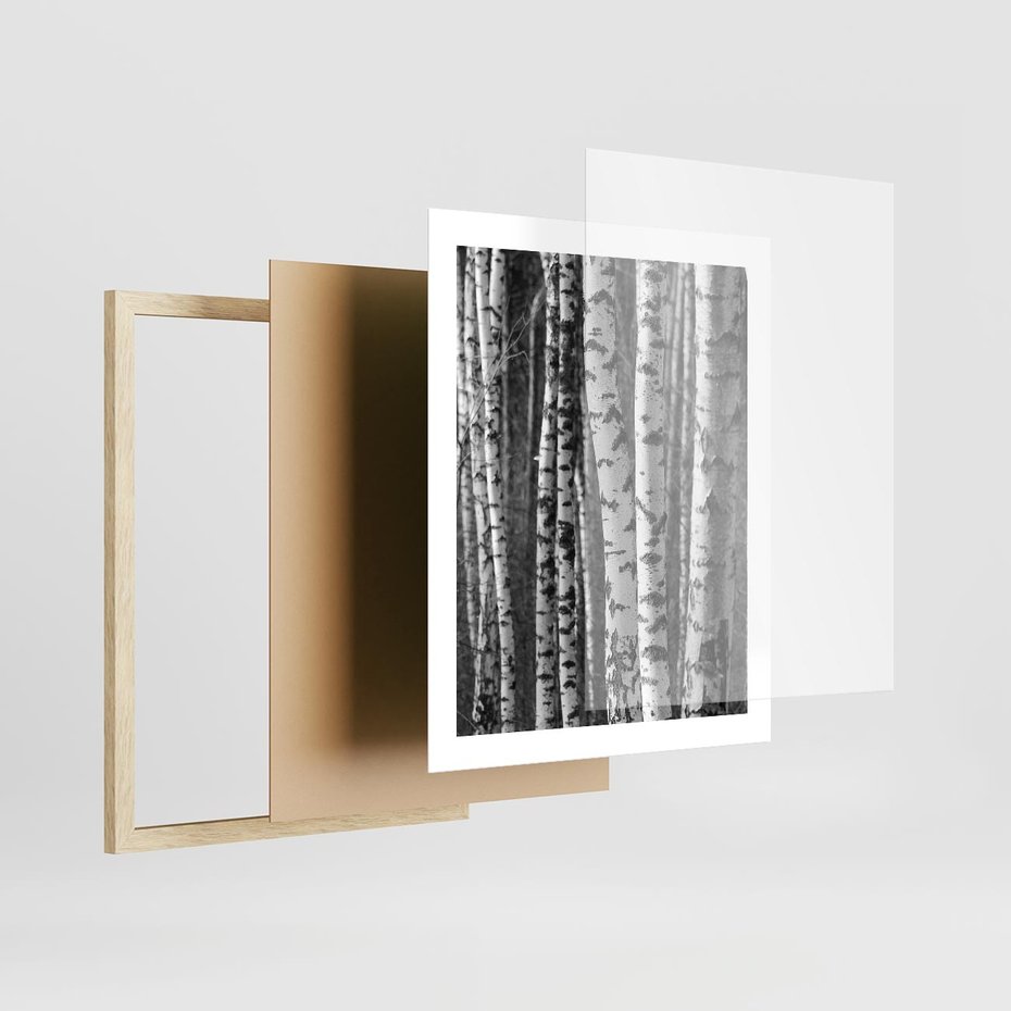 Plakat w ramie 40x50 - Kontrast Monochromatyczny - brzozy, czarno - rama drewno